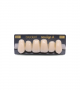 NEO LIGN A TOOTH ANT I47 UPPER B1 6 pc ASST 13, 12, 11, 21, 22, 23