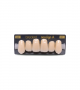 NEO LIGN A TOOTH ANT I47 UPPER B2 6 pc ASST 13, 12, 11, 21, 22, 23