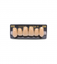 NEO LIGN A TOOTH ANT I47 UPPER B3 6 pc ASST 13, 12, 11, 21, 22, 23