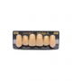 NEO LIGN A TOOTH ANT I47 UPPER B4 6 pc ASST 13, 12, 11, 21, 22, 23