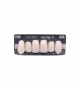 NEO LIGN A TOOTH ANT I47 UPPER BL3 6 pc ASST 13, 12, 11, 21, 22, 23