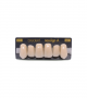 NEO LIGN A TOOTH ANT I47 UPPER C1 6 pc ASST 13, 12, 11, 21, 22, 23