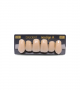 NEO LIGN A TOOTH ANT I47 UPPER C2 6 pc