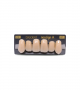 NEO LIGN A TOOTH ANT I47 UPPER C2 6 pc ASST 13, 12, 11, 21, 22, 23