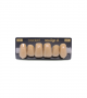 NEO LIGN A TOOTH ANT I47 UPPER C4 6 pc ASST 13, 12, 11, 21, 22, 23