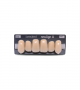NEO LIGN A TOOTH ANT I47 UPPER D3 6 pc ASST 13, 12, 11, 21, 22, 23