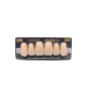 NEO LIGN A TOOTH ANT M48 UPPER A2 6 pc ASST 13, 12, 11, 21, 22, 23