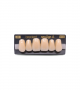 NEO LIGN A TOOTH ANT M48 UPPER A2 6 pc