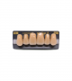 NEO LIGN A TOOTH ANT M48 UPPER A4 6 pc ASST 13, 12, 11, 21, 22, 23