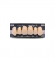 NEO LIGN A TOOTH ANT M48 UPPER B2 6 pc ASST 13, 12, 11, 21, 22, 23