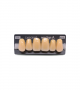 NEO LIGN A TOOTH ANT M48 UPPER B4 6 pc ASST 13, 12, 11, 21, 22, 23