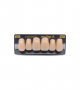 NEO LIGN A TOOTH ANT M48 UPPER C2 6 pc ASST 13, 12, 11, 21, 22, 23