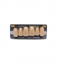 NEO LIGN A TOOTH ANT M48 UPPER C4 6 pc ASST 13, 12, 11, 21, 22, 23