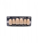 NEO LIGN A TOOTH ANT M48 UPPER D3 6 pc ASST 13, 12, 11, 21, 22, 23