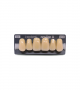 NEO LIGN A TOOTH ANT M48 UPPER D4 6 pc ASST 13, 12, 11, 21, 22, 23