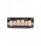 NEO LIGN A TOOTH ANT S46 UPPER A1 6 pc