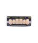 NEO LIGN A TOOTH ANT S46 UPPER A1 6 pc ASST 13, 12, 11, 21, 22, 23