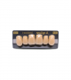 NEO LIGN A TOOTH ANT S46 UPPER B3 6 pc ASST 13, 12, 11, 21, 22, 23