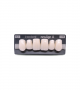 NEO LIGN A TOOTH ANT S46 UPPER BL3 6 pc ASST 13, 12, 11, 21, 22, 23