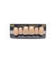 NEO LIGN A TOOTH ANT S46 UPPER C2 6 pc ASST 13, 12, 11, 21, 22, 23