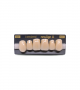 NEO LIGN A TOOTH ANT S46 UPPER D2 6 pc ASST 13, 12, 11, 21, 22, 23