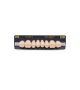 NEO LIGN P TOOTH POST WL3 UPPER A1 8 pc ASST 14, 15, 16, 17/24, 25, 26, 27