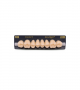 NEO LIGN P TOOTH POST WL4 UPPER A3 8 pc ASST 14, 15, 16, 17/24, 25, 26, 27