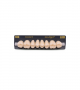 NEO LIGN P TOOTH POST WL4 UPPER B2 8 pc ASST 14, 15, 16, 17/24, 25, 26, 27