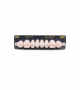 NEO LIGN P TOOTH POST WL4 UPPER BL3 8 pc ASST 14, 15, 16, 17/24, 25, 26, 27