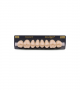 NEO LIGN P TOOTH POST WL4 UPPER C2 8 pc ASST 14, 15, 16, 17/24, 25, 26, 27