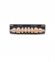 NEO LIGN P TOOTH POST WL4 UPPER D3 8 pc ASST 14, 15, 16, 17/24, 25, 26, 27