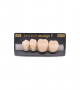 NEO LIGN P TOOTH POST 3G3 LOWER A1 4 pc ASST 34, 35, 36, 37