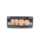 NEO LIGN P TOOTH POST 3G3 LOWER A3 4 pc