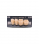 NEO LIGN P TOOTH POST 3G3 LOWER A3 4 pc ASST 34, 35, 36, 37