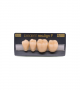 NEO LIGN P TOOTH POST 3G3 LOWER A3.5 4 pc ASST 34, 35, 36, 37