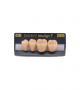 NEO LIGN P TOOTH POST 3G3 LOWER A4 4 pc