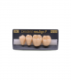 NEO LIGN P TOOTH POST 3G3 LOWER A4 4 pc ASST 34, 35, 36, 37