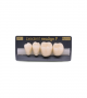 NEO LIGN P TOOTH POST 3G3 LOWER B1 4 pc ASST 34, 35, 36, 37