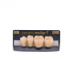 NEO LIGN P TOOTH POST 3G3 LOWER B3 4 pc