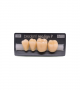 NEO LIGN P TOOTH POST 3G3 LOWER B4 4 pc ASST 34, 35, 36, 37