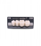 NEO LIGN P TOOTH POST 3G3 LOWER BL3 4 pc ASST 34, 35, 36, 37