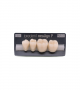NEO LIGN P TOOTH POST 3G3 LOWER C1 4 pc ASST 34, 35, 36, 37