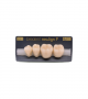 NEO LIGN P TOOTH POST 3G3 LOWER C2 4 pc ASST 34, 35, 36, 37