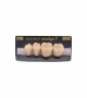 NEO LIGN P TOOTH POST 3G3 LOWER C3 4 pc