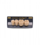 NEO LIGN P TOOTH POST 3G3 LOWER C4 4 pc