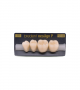 NEO LIGN P TOOTH POST 3G3 LOWER D2 4 pc