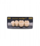 NEO LIGN P TOOTH POST 3G3 LOWER D2 4 pc ASST 34, 35, 36, 37