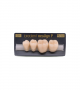 NEO LIGN P TOOTH POST 3G3 LOWER D3 4 pc ASST 34, 35, 36, 37