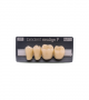 NEO LIGN P TOOTH POST 3G3 LOWER D4 4 pc