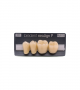 NEO LIGN P TOOTH POST 3G3 LOWER D4 4 pc ASST 34, 35, 36, 37